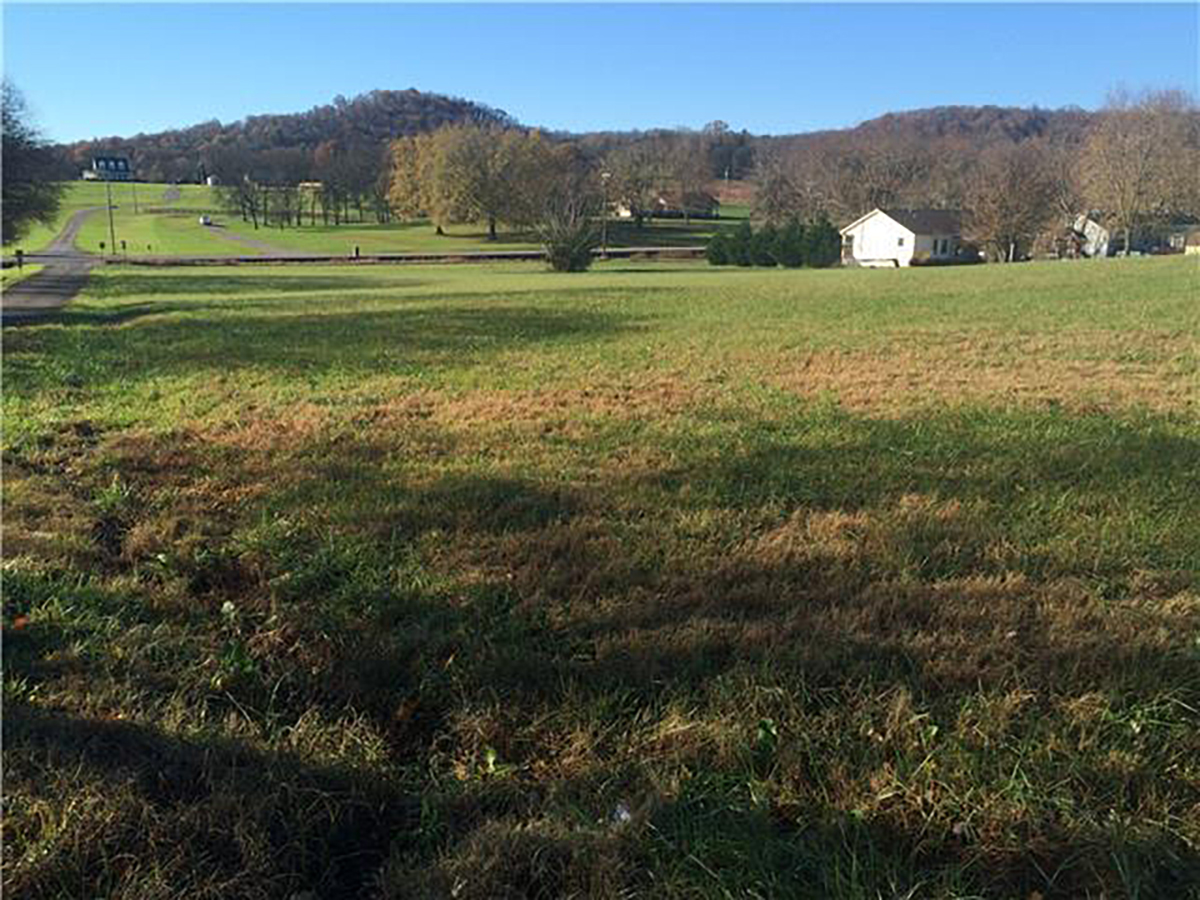 4 Lots for Sale! Amazing Opportunity to own Land in Eagleville, TN